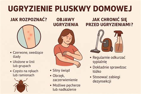 Infografika: jak rozpoznać zużycie gąsienicy gumowej (pęknięcia, przetarcia, odsłonięte druty).
