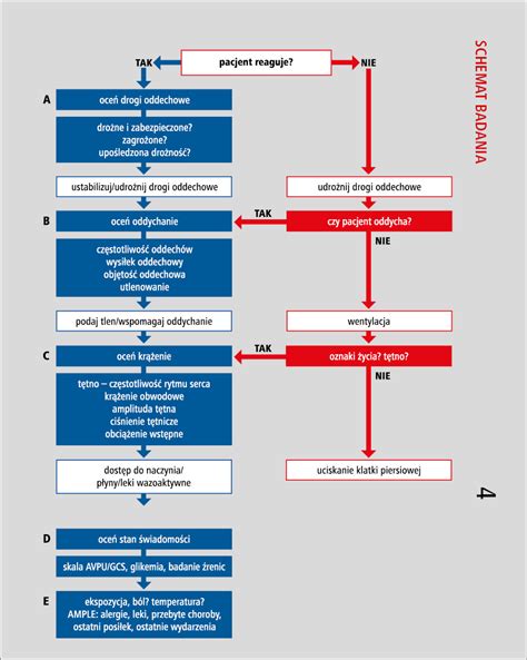 Schemat działania pogotowia kanalizacyjnego w Nysie
