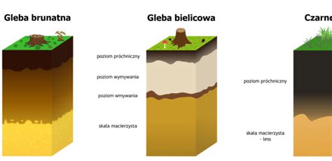 Schemat działania zębów głębosza rozrywających podeszwę płużną bez odwracania profilu glebowego