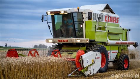 zdjęcie kombajnu Claas Mega 204 podczas pracy na polu pszenicy
