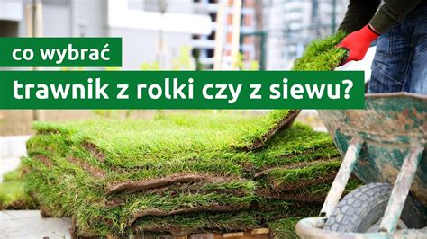 Infografika porównująca proces zakładania trawnika z siewu oraz z rolki, uwzględniająca czas oczekiwania na efekt i koszty.