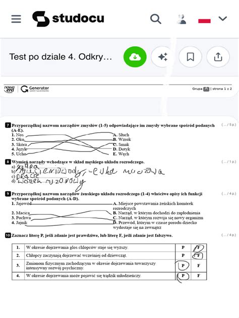 Zdjęcie pola po podsiewie z widoczną wschodzącą życicą