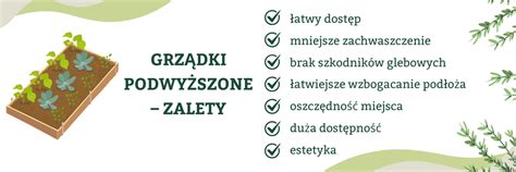 Zalety sadzarek do warzyw (infografika)