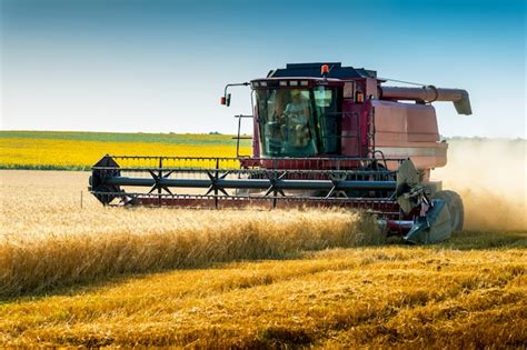 Zabytkowy kombajn zbożowy International Harvester w polu