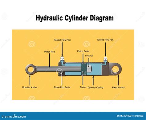 Technical diagram of a hydraulic cylinder with labeled parts