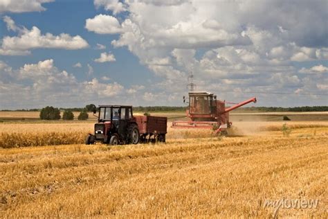 Ekran z Farming Simulator 2011 przedstawiający kombajn zbierający zboże z przyczepą