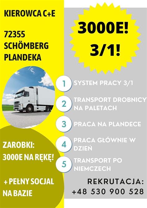 Infografika przedstawiająca wymagane dokumenty dla kierowcy C+E z kodem 95