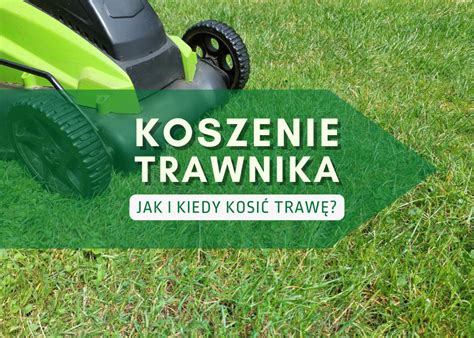 Sposoby prawidłowego koszenia trawnika - infografika