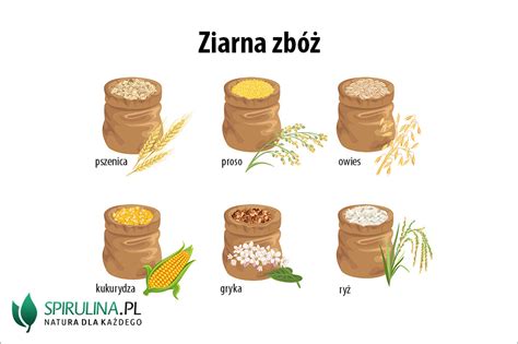 fotografia nowoczesnego separatora ziarna w akcji