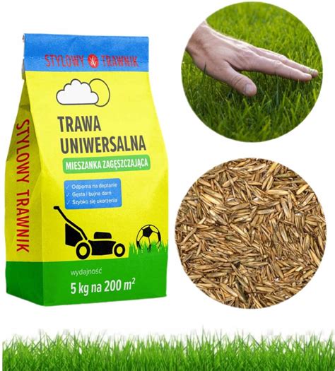Trawa rosnąca równomiernie dzięki prawidłowemu nawożeniu