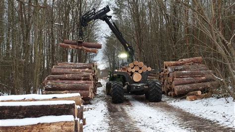 Zrywka drewna wczesnym ciągnikiem leśnym (zdjęcie archiwalne)