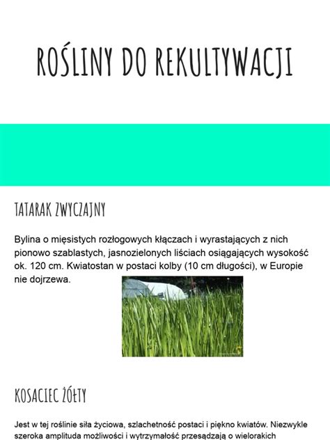Schemat przedstawiający etapy rekultywacji trawnika: od usuwania darni po wałowanie i siew.