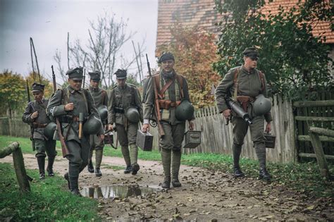 Zdjęcie historycznej kosiarki konnej w pracy
