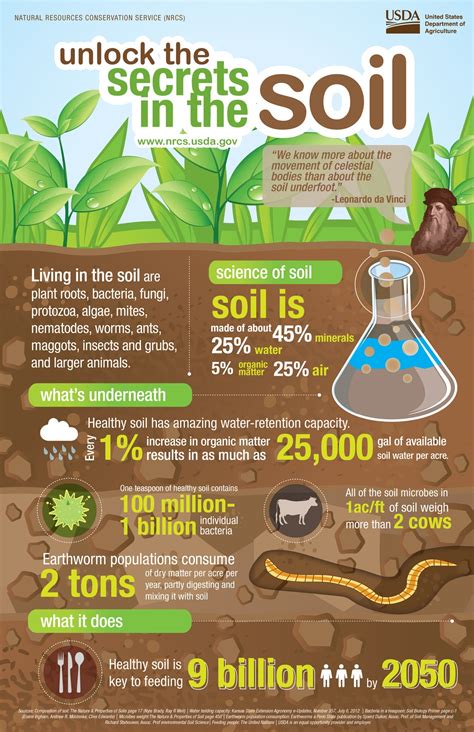 Infographics showing benefits of soil tilling