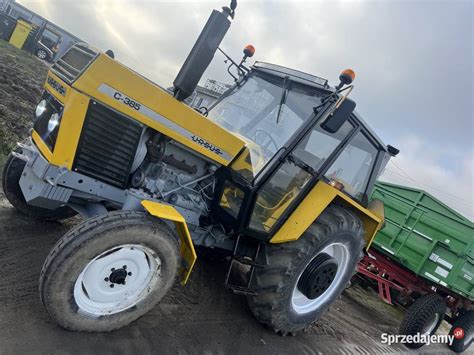 zdjęcie ursusa c-385 de luxe Marka Powierzy z czarnymi felgami