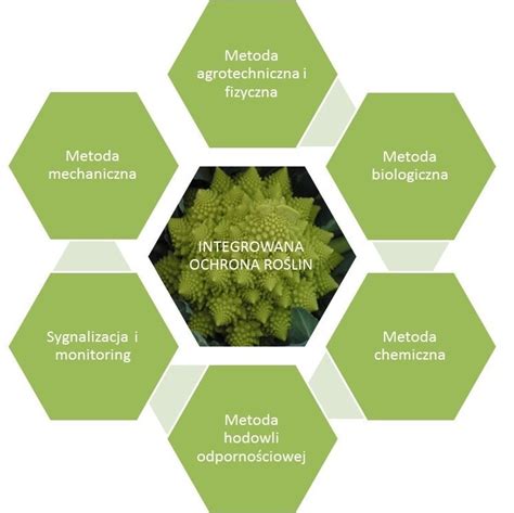 schemat integrowanej ochrony roślin