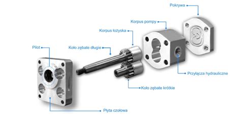 schemat budowy pompy hydraulicznej zębatej i wielotłoczkowej
