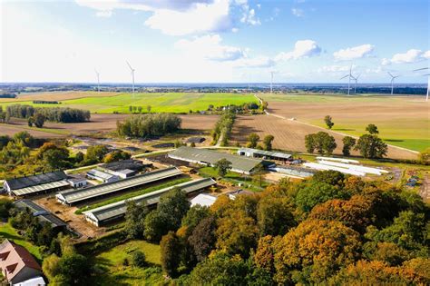 Schemat koncepcyjny platformy cyfrowej łączącej producenta nawozów, dystrybutorów i gospodarstwa rolne.