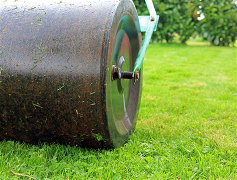 Thematic photo of a garden roller being used on a lawn