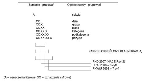 Schemat przedstawiający powiązanie grupowania PKWiU i KŚT dla maszyn pielęgnacyjnych