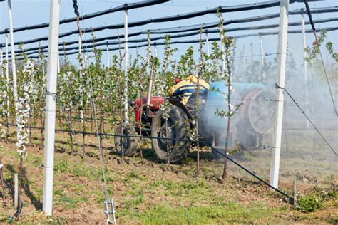 Photo depicting various applications of the sprayer, e.g., spraying fruit trees, vegetables, or an inaccessible area
