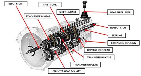 Diagram of a tiller's gearbox and engine components