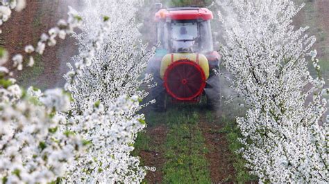 Thematic photo of an Agrola orchard sprayer in action in a fruit orchard