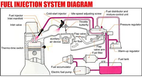 Diagram of the fuel injection pump system in Ursus C-330