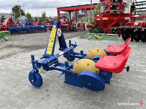 Sadzarka do rozsady Krukowiak S-240 w akcji na polu