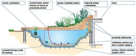 Schemat przedstawiający przekrój poprzeczny stawu z wyszczególnieniem stref głębokości, półek roślinnych oraz warstwy uszczelniającej.