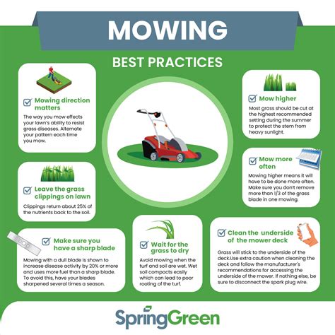 Infographic: Lawn care tips and mowing guide