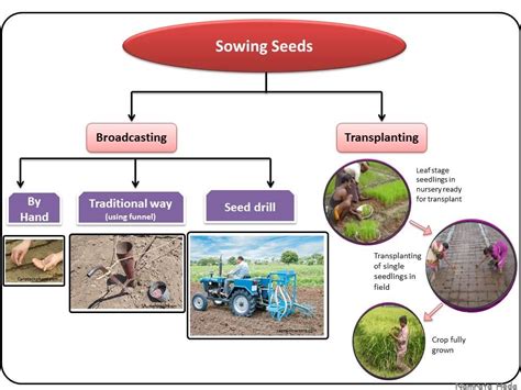 Diagram showing the components of a wheelbarrow seed drill and different sowing methods