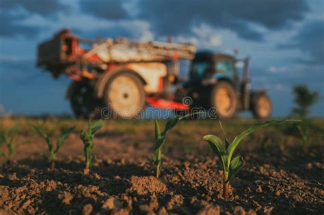 Thematic photo of a Trolla sprayer attached to a garden tractor working in the field.