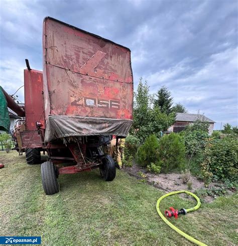Zdjęcie historyczne pokazujące ciągnik Sd.Kfz. 6 podczas prac polowych