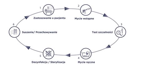 infografika: etapy przygotowania powierzchni przed gruntowaniem