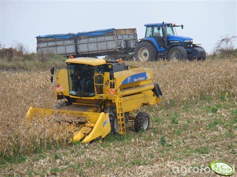 Kombajn zbożowy New Holland TC56 Hydro w akcji
