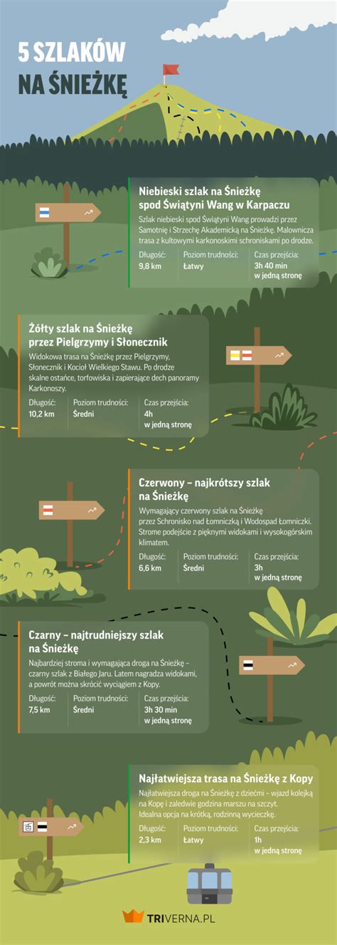 Infografika porównująca żywotność i awaryjność popularnych marek silników do kosiarek.