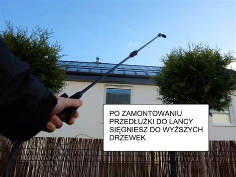 Dzięki przedłużeniu lancy można sięgnąć do koron drzew