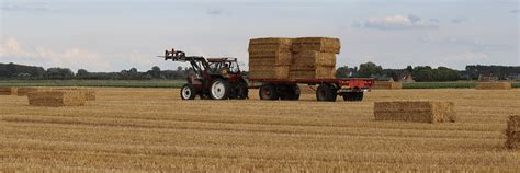 Zdjęcie ładowacza czołowego New Holland pracującego na polu z materiałami rolniczymi
