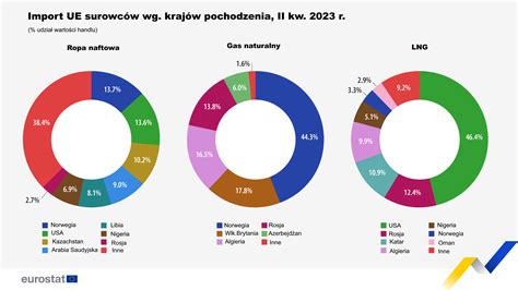 Wykres przedstawiający procentowy udział surowców w eksporcie Rosji do Chin