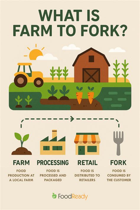 Infographic showing areas of wear on a fork and the 10% rule
