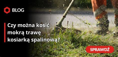 zbliżenie na skoszoną mokrą trawę, która zapycha kosiarkę