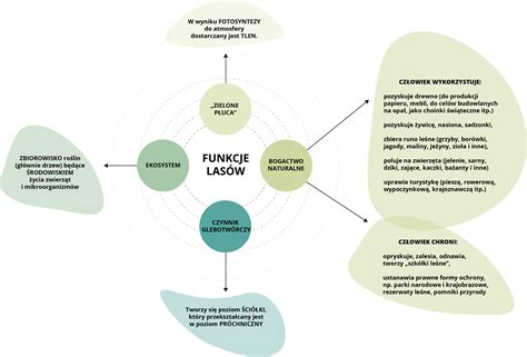 Schemat przedstawiający funkcje pojazdu asenizacyjnego na płycie lotniska