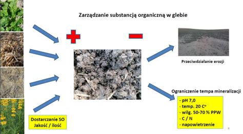 Infografika przedstawiająca proces mulczowania i rozkładu materii organicznej w glebie