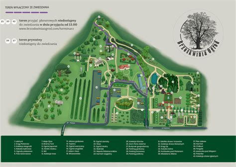 Mapa ogrodu z zaznaczonymi strefami zamgławiania i rozmieszczeniem dysz