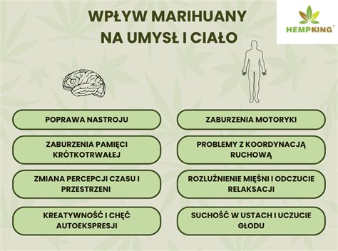 Infografika przedstawiająca znaczenie regularnych badań technicznych opryskiwaczy i ich wpływ na skuteczność zabiegów oraz bezpieczeństwo upraw.