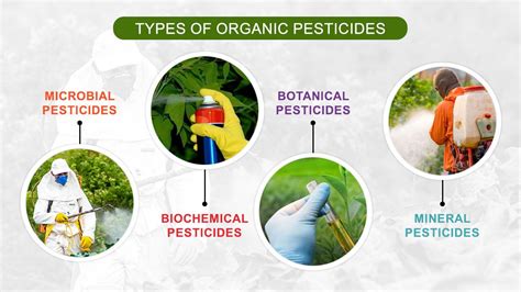 Infographic or schema illustrating the different types of pesticide application courses, their duration, and target audience