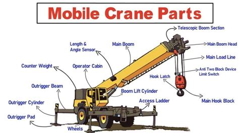 Infographic showing the main components of a self-propelled crane and its hydraulic system