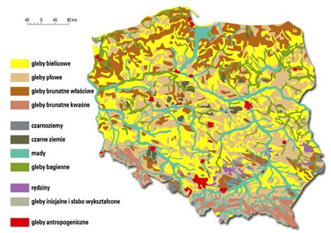 mapa typów gleb w Polsce z oznaczeniem preferowanych wałów