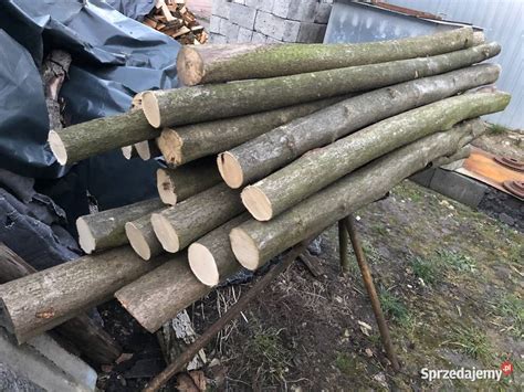 Skider przeciągający kłody drewna w trudnym terenie